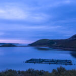 Sea Salmon farming Square