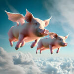 Flying pigs Square