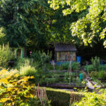 Allotment X Square