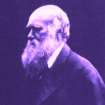 A new biography of Charles Darwin, a son of capitalism Darwin review Square