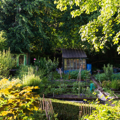 Allotment X Square