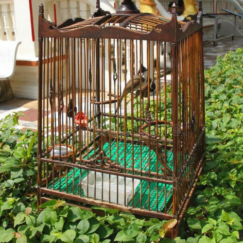 Bamboo Bird cage square