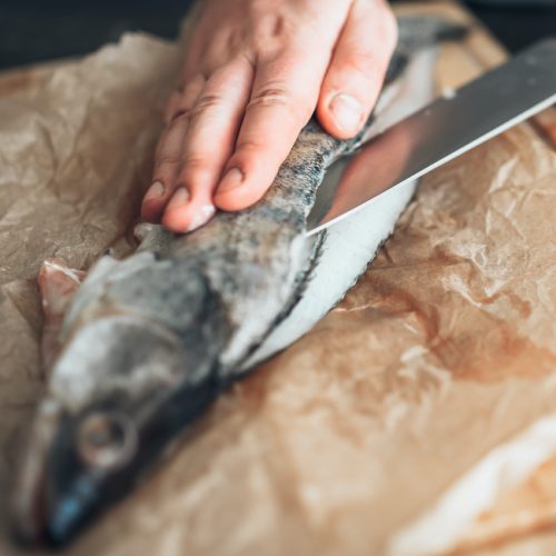 Fish filleting Square