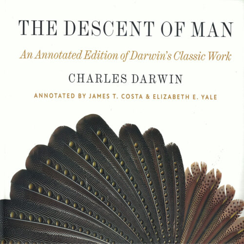 The Descent of Man jacket cover Square