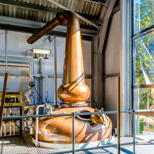 WhatsApp Image 2021-07-06 at 09.00.30